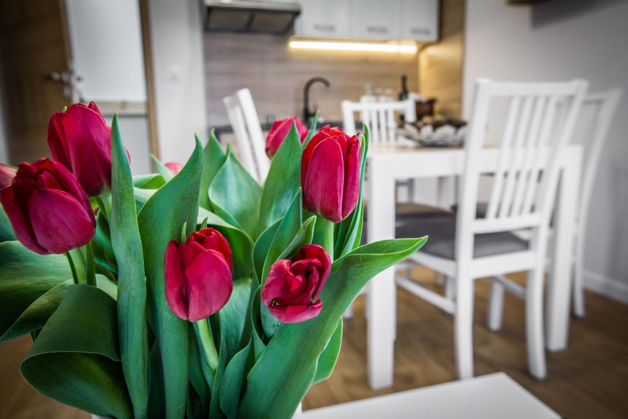 Apartamenty Przy Skoczni Szczyrk Dış mekan fotoğraf
